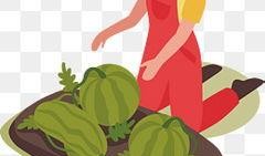 云朵吃瓜合集,揭秘云端生活的趣味瞬间