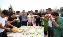 内地吃老汉瓜,老汉瓜的独特风味与传承故事