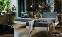 俱乐部沙发吃瓜,揭秘娱乐圈幕后故事