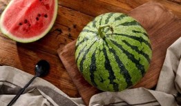 上海吃瓜闲聊群,邻里间的欢乐时光