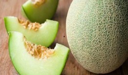 小月亮吃哈密瓜,小月亮的哈密瓜盛宴之旅