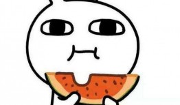 理性吃瓜还是理智,揭秘网络舆论背后的真相